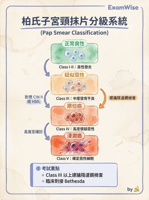專師 - 乳癌與婦癌 - AI 圖文解析預覽