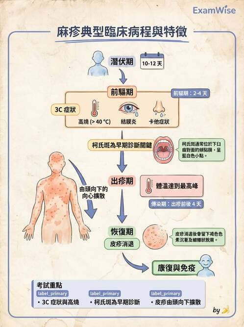 專師 - 法定傳染病與新興感染 - AI 圖文解析預覽