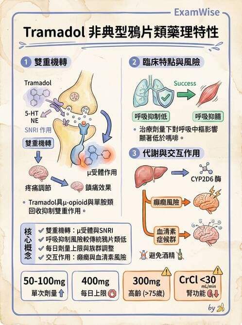 專師 - 疼痛控制與止痛藥物 - AI 圖文解析預覽