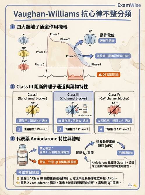 專師 - 心律不整與ECG判讀 - AI 圖文解析預覽