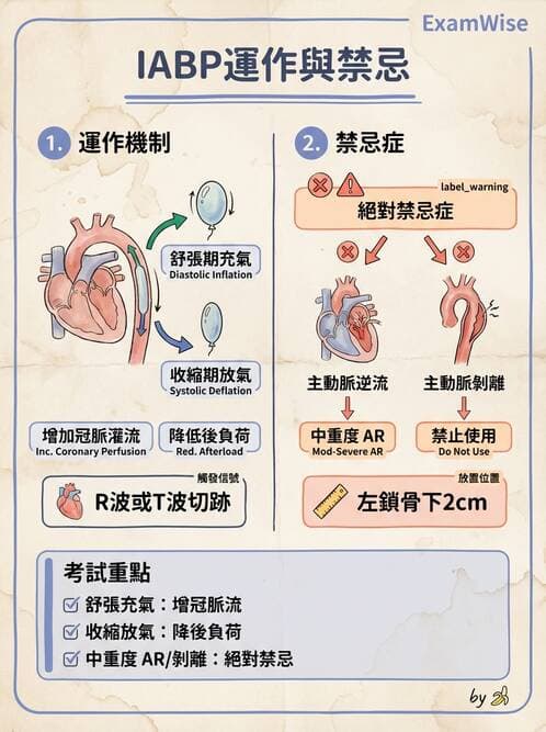 專師 - 心臟外科與介入 - AI 圖文解析預覽