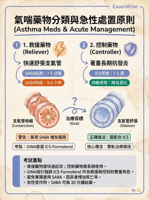 專師 - 阻塞性肺病 - AI 圖文解析預覽