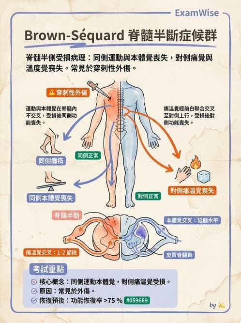 專師 - 腦神經檢查與神經學評估 - AI 圖文解析預覽