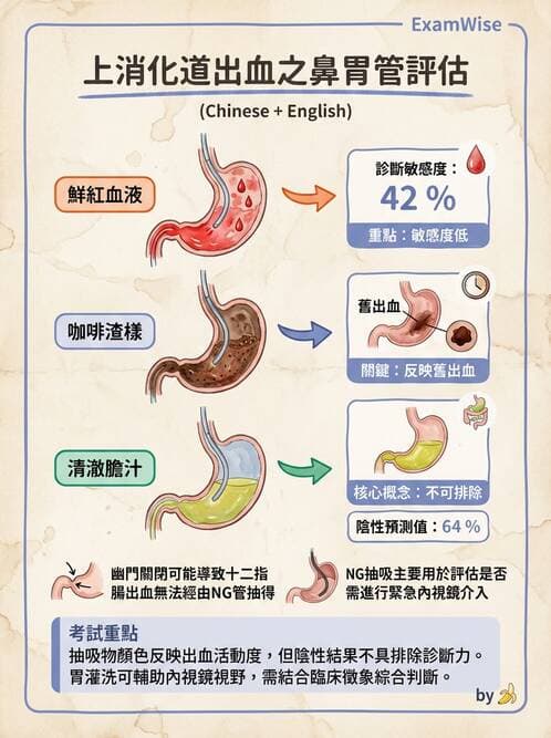 專師 - 上消化道 - AI 圖文解析預覽