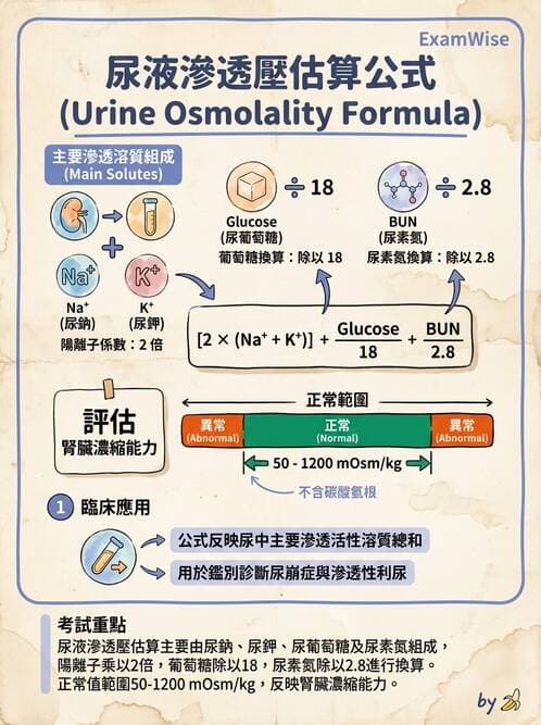 專師 - 糖尿病腎病變與腎絲球疾病 - AI 圖文解析預覽