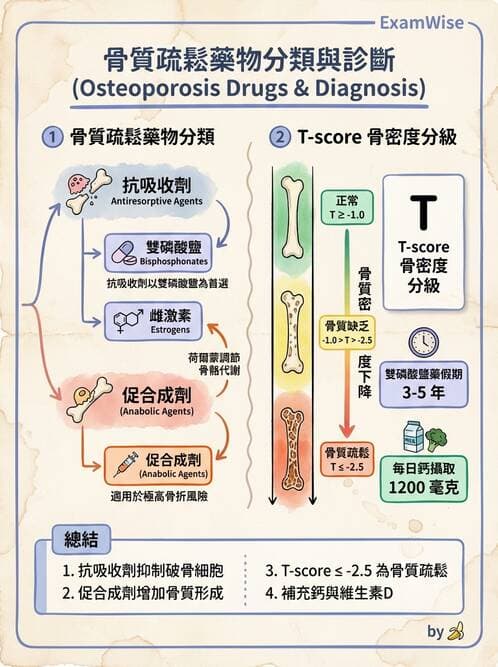 專師 - 腦下垂體與其他內分泌 - AI 圖文解析預覽