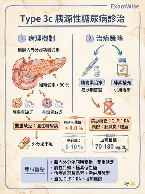 專師 - 胰島素治療與血糖管理 - AI 圖文解析預覽