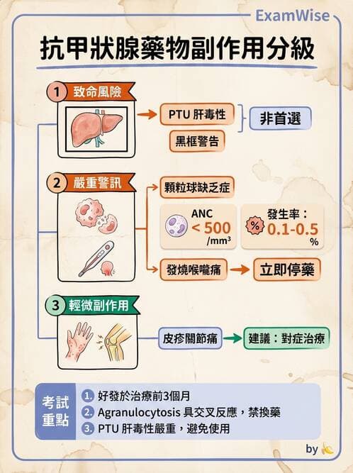 專師 - 甲狀腺疾病 - AI 圖文解析預覽