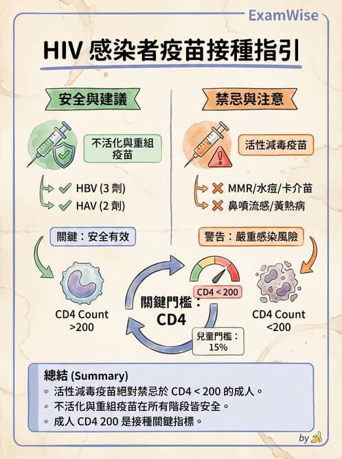 專師 - 性傳播感染 - AI 圖文解析預覽