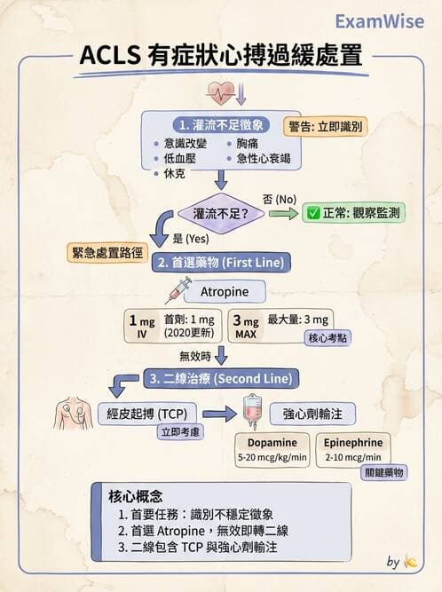 專師 - 心律不整與電擊治療 - AI 圖文解析預覽