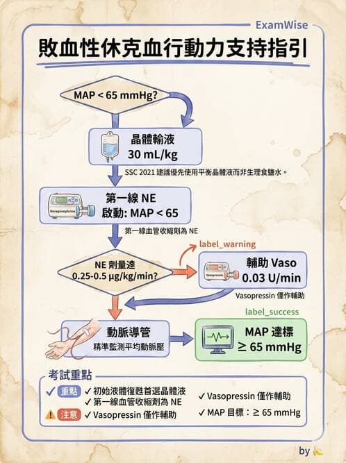 專師 - 敗血症治療與復甦指引 - AI 圖文解析預覽