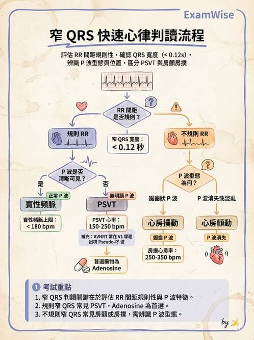 醫檢師 - 心律不整判讀 - AI 圖文解析預覽