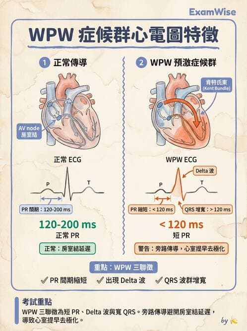 醫檢師 - 心肌病變與特殊心電圖 - AI 圖文解析預覽