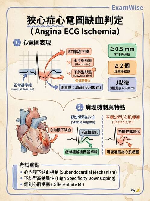 醫檢師 - 心肌病變與特殊心電圖 - AI 圖文解析預覽