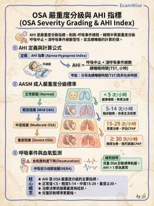 醫檢師 - 神經肌肉與睡眠檢查 - AI 圖文解析預覽