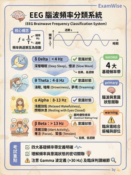 醫檢師 - 腦電圖檢查 - AI 圖文解析預覽