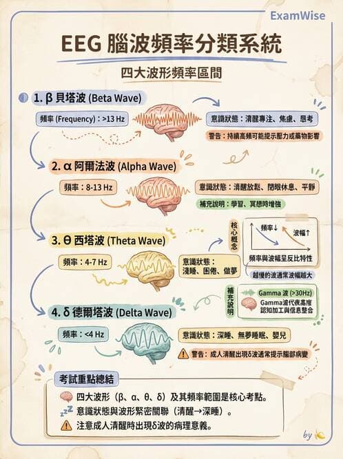 醫檢師 - 腦電圖檢查 - AI 圖文解析預覽