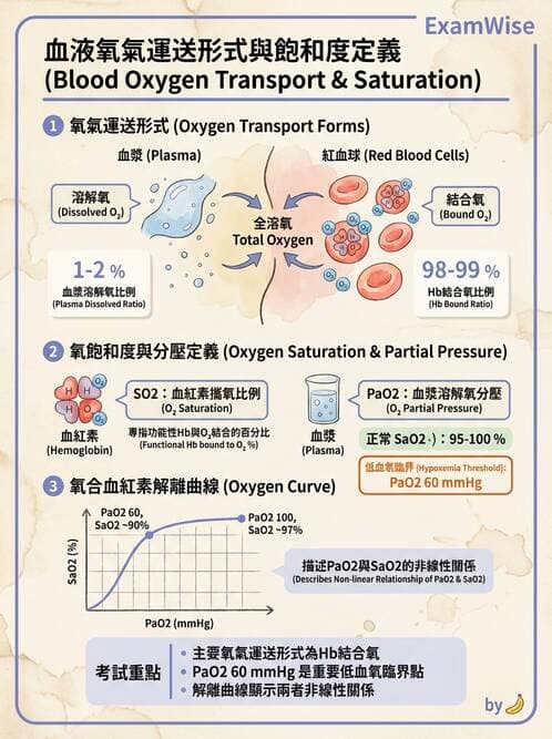 醫檢師 - 血液氣體分析 - AI 圖文解析預覽