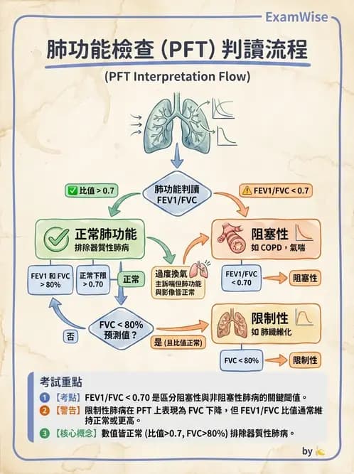 醫檢師 - 肺功能判讀與氣體交換 - AI 圖文解析預覽