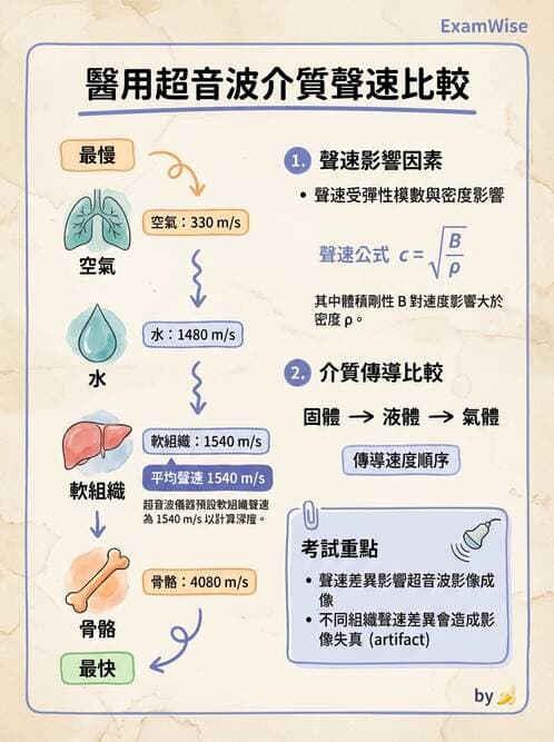 醫檢師 - 超音波檢查 - AI 圖文解析預覽
