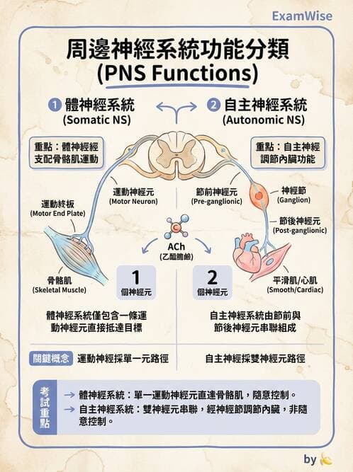醫檢師 - 綜合性試題 - AI 圖文解析預覽