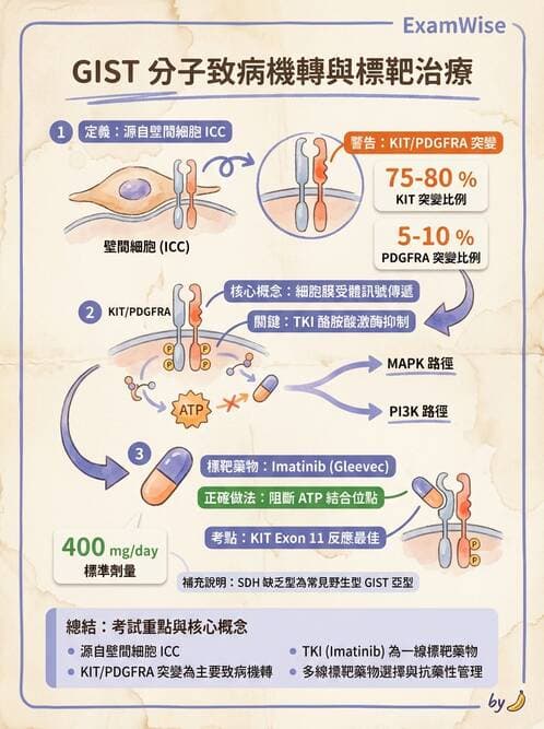 醫檢師 - 腫瘤概論 - AI 圖文解析預覽