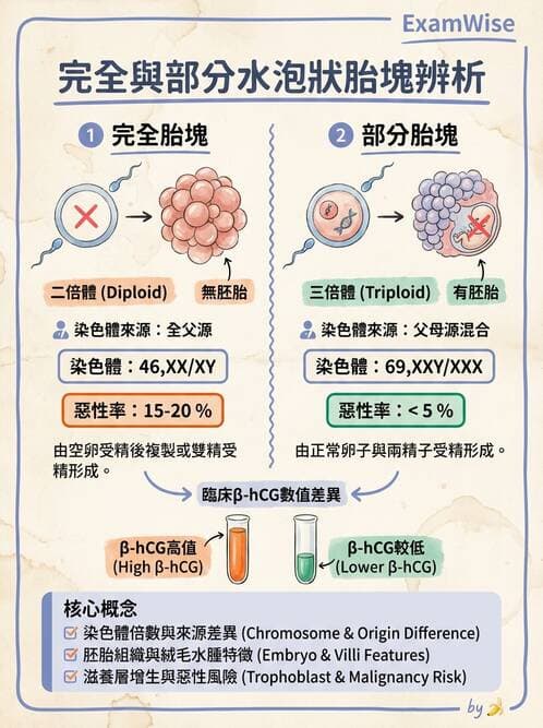 醫檢師 - 乳房及女性生殖疾病 - AI 圖文解析預覽