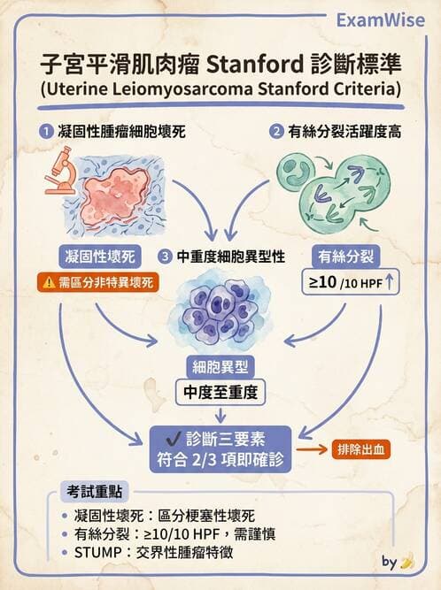 醫檢師 - 乳房及女性生殖疾病 - AI 圖文解析預覽