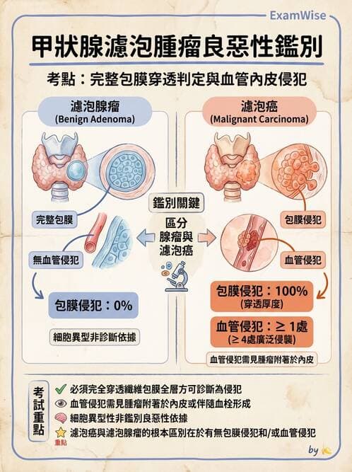 醫檢師 - 內分泌疾病 - AI 圖文解析預覽