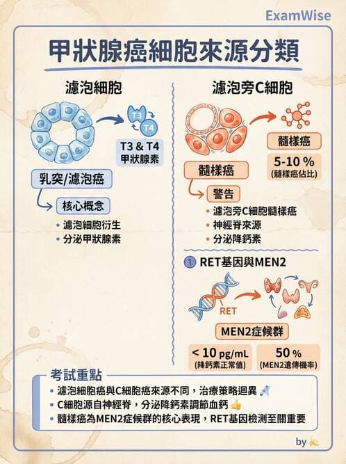 醫檢師 - 內分泌疾病 - AI 圖文解析預覽