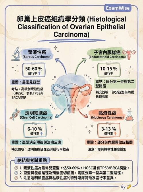 醫檢師 - 乳房及女性生殖疾病 - AI 圖文解析預覽