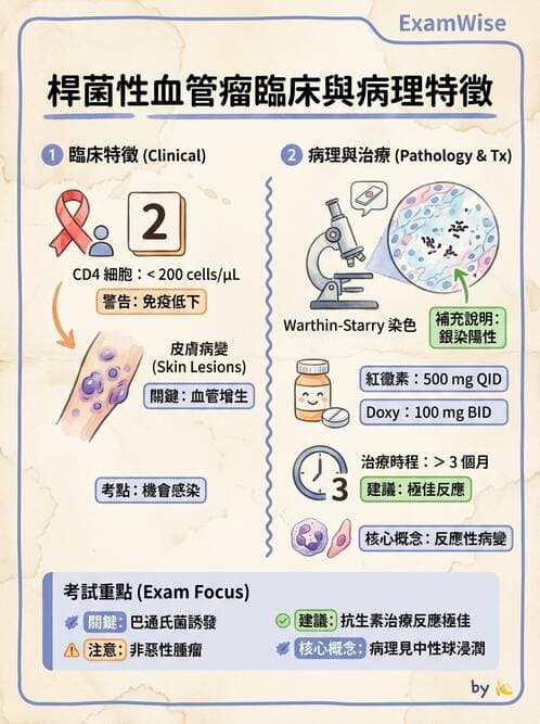 醫檢師 - 心血管疾病 - AI 圖文解析預覽