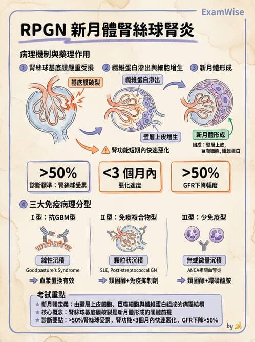 醫檢師 - 腎臟泌尿及男性生殖疾病 - AI 圖文解析預覽