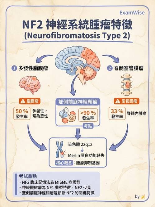 醫檢師 - 神經系統疾病 - AI 圖文解析預覽