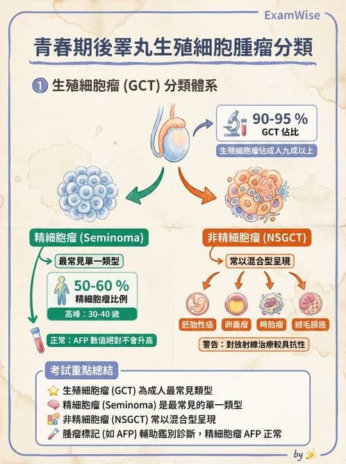 醫檢師 - 腎臟泌尿及男性生殖疾病 - AI 圖文解析預覽
