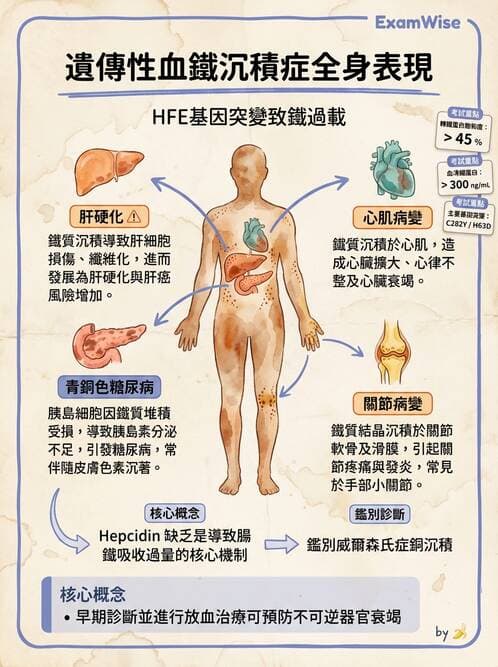 醫檢師 - 消化肝膽疾病 - AI 圖文解析預覽