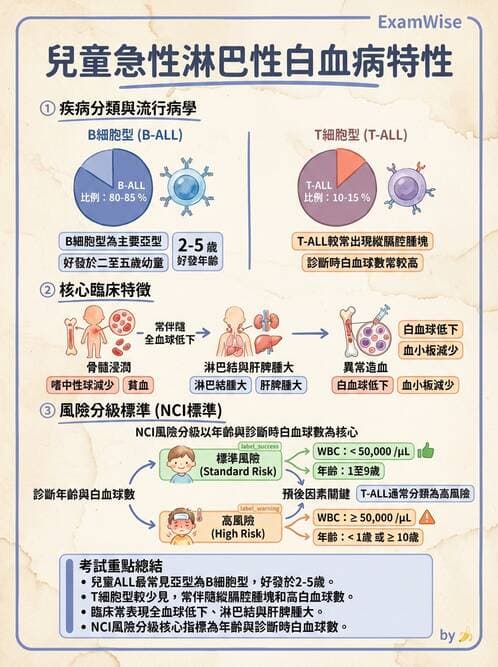醫檢師 - 急性白血病 - AI 圖文解析預覽