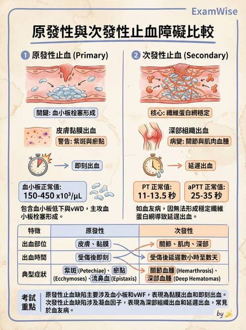 醫檢師 - 出血性疾病與檢驗 - AI 圖文解析預覽