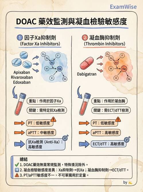 醫檢師 - 血栓性疾病與抗凝治療監測 - AI 圖文解析預覽