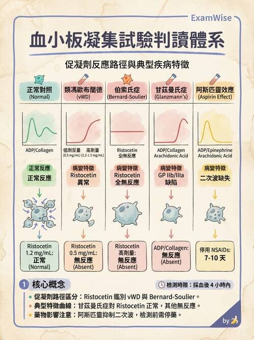 醫檢師 - 出血性疾病與檢驗 - AI 圖文解析預覽
