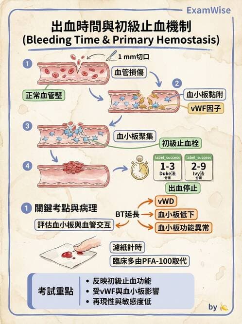 醫檢師 - 血小板與止血生理 - AI 圖文解析預覽