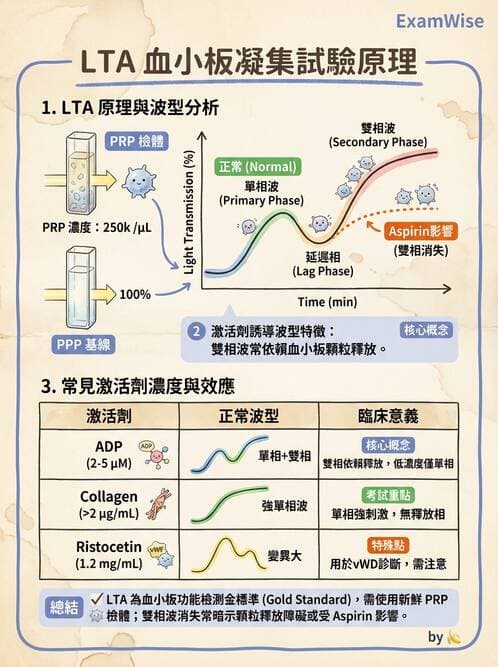醫檢師 - 出血性疾病與檢驗 - AI 圖文解析預覽