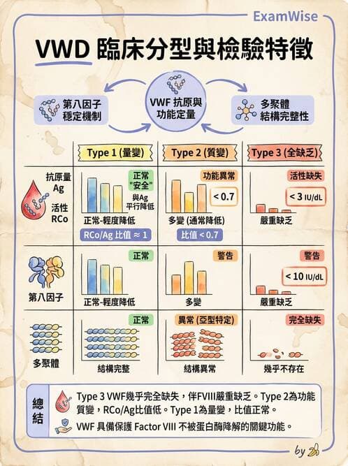 醫檢師 - 出血性疾病與檢驗 - AI 圖文解析預覽