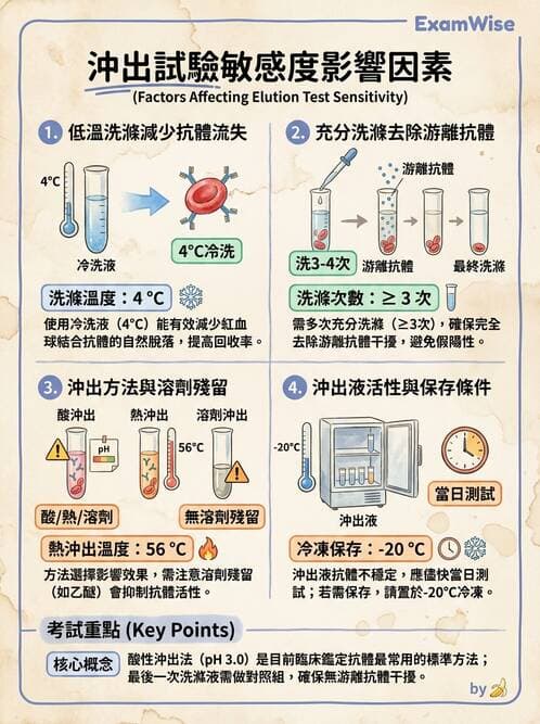 醫檢師 - 紅血球抗原與血型系統 - AI 圖文解析預覽