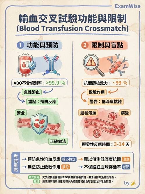 醫檢師 - 血液成分製備與輸血檢查 - AI 圖文解析預覽