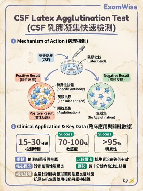 醫檢師 - 腦脊髓液檢查 - AI 圖文解析預覽