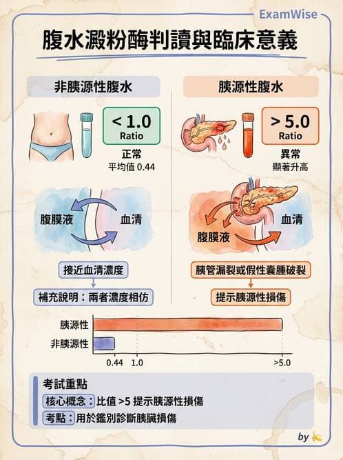 醫檢師 - 穿刺液檢查 - AI 圖文解析預覽