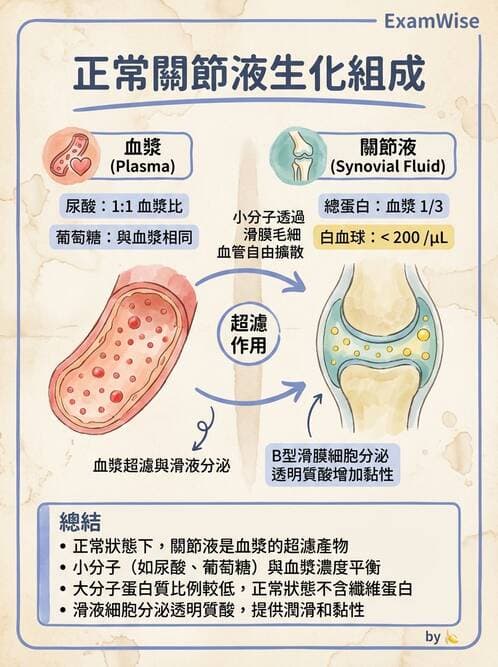 醫檢師 - 滑膜液檢查 - AI 圖文解析預覽
