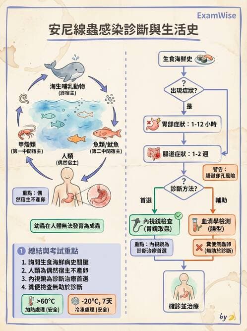 醫檢師 - 寄生蟲檢查-蠕蟲類 - AI 圖文解析預覽