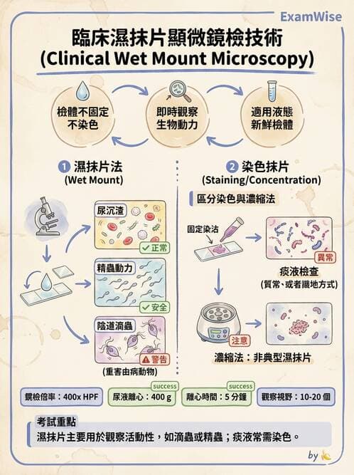 醫檢師 - 鏡檢綜合性試題 - AI 圖文解析預覽